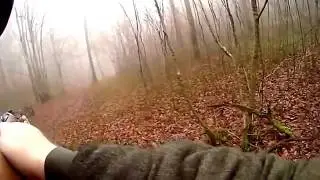 прикол! ОХОТА на кабана