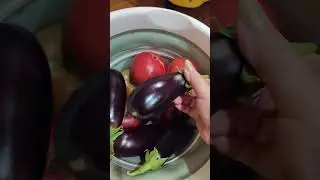 Теплица с автополивом. Мы отдыхаем - урожай растёт!