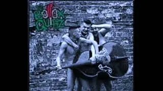 Bollox Quiffz - Bollox Barber