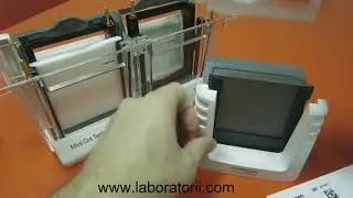 Камера для вертикального электрофореза Mini Gel Tank