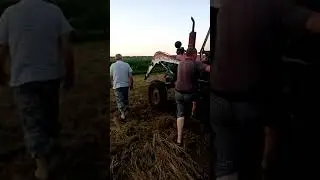 Юмз 6 сенокос