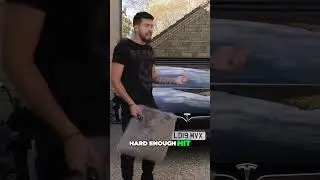 INCREDIBLE Tesla Sentry Mode Reacts to ASSAULT by Pillow