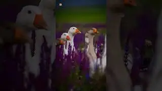 Amazing domestic goose sounds 🪿🪿