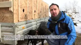 KALEVALA 2014 /09 марта