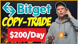 Copy Trading on Bitget: The Ultimate Guide to Social Trading for Beginners and Experts (+RESULTS)