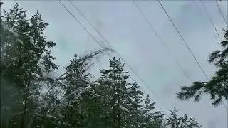 Замыкание через дерево