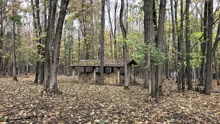 В леса, в поля!