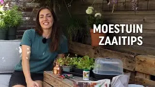 Moestuin zaaitips | Floor Korte
