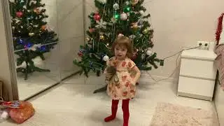 VLOG: ПРЕДНОВОГОДНЯЯ СУЕТА / НАРЯЖАЕМ ЕЛКУ