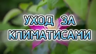 Уход за климатисами