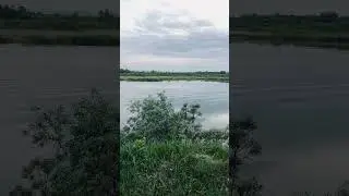 https://t.me/alchzhizni
