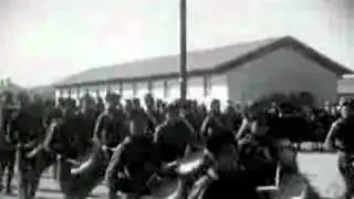 The Arrivals-Frontline