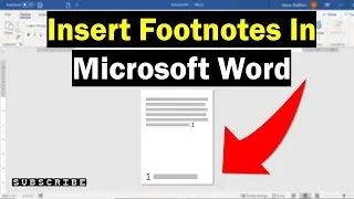 How to Insert Footnotes and Endnotes in Microsoft Word | Computer Skills