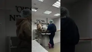 Как мы готовим трюфели 😂