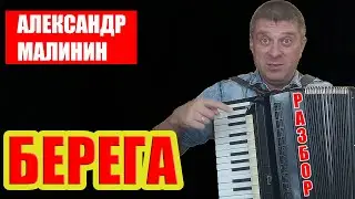Александр Малинин - БЕРЕГА НА АККОРДЕОНЕ Обучение и Разбор