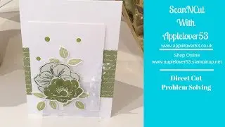 ScanNCut - Scan To Direct Cut Problem Solving
