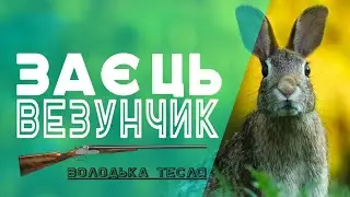 Охота на зайця 2017.заєць-везунчик.Hunting hare 2017