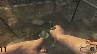 10 years later.. still my favorite glitch in zombies