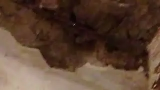 ДОСИХ-ПОР ДЕБИЛОЙДЫ СВЕРХУ ПРОГРЕСИХУЮТ