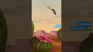 🤣ЭТО НАДО СМОТРЕТЬ🤣🤣🤣🤣БЕШЕННЫЙ ЗАЯЦ