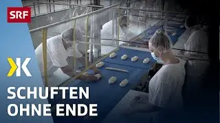 Coop's large-scale bakery pushes employees to their limits | Report 2022 | Kassensturz | SRF