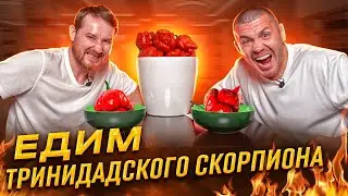 ЕДИМ ТРИНИДАДСКОГО СКОРПИОНА!!! | Бизнес интервью