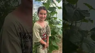 🏡 Селянські дівчата from 