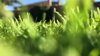BLADE | BOUNCY ENERGETIC TRAP BEAT | ADAM FINNEY 2021
