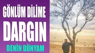 Gönlüm Dilime Dargın