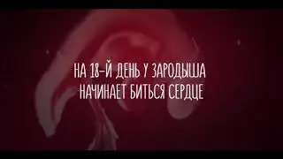 Тайна жизни до рождения / The mystery of life before birth