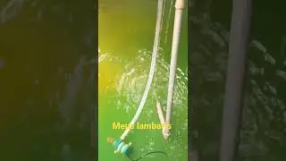 13 de março de 2023