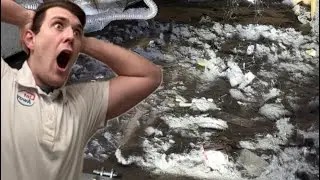 We Cleaned the World's DIRTIEST Laundry Room!