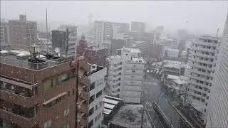 Tokyo March the 29th, 2020: LET IT SNOW