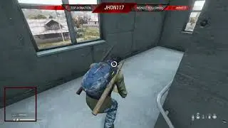 Dayz