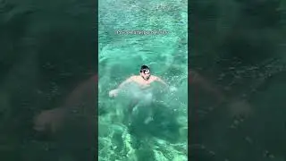 Il a plongé direct 🤣🤣