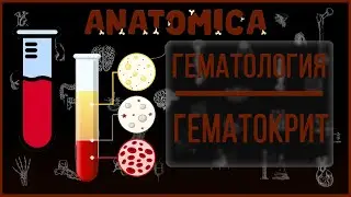 Гематокрит / Форменные элементы крови (эритроциты, лейкоциты, тромбоциты) и плазма / Гематология