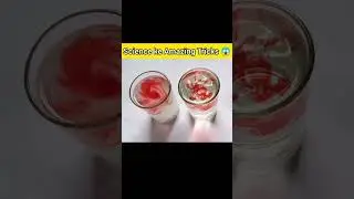 Unbelievable Science Experiment 😱 || Science Experiment 🔥 