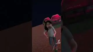 fhian run