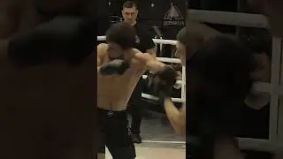 поп мма, бои на вершине. Битва умов и техники. Жёсткие удары и навыки.