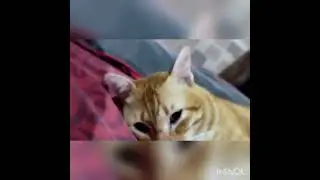 waduhhhhhhhhhhhhhhhh