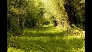 Так случилось – мужчины ушли / Stało się tak, że mężczyźni odeszli