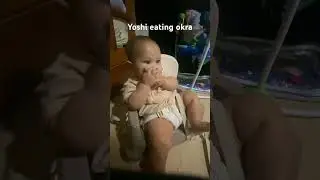 8 months old yoshi eating okra #food #kids #foodie #funny  #babyboy #babyshorts #babyvideos