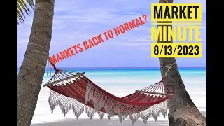 Does This Pullback Normalize the Market?   -  Market Minute 13 August 2023