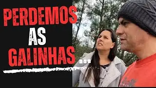 PERDEMOS   GALINHAS ,O GALINHEIRO foi destruído COM O TEMPORAL ep 32