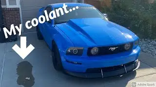 THE MUSTANG IS BACK! How I fixed my common 05-09 Mustang GT coolant leak!