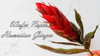 Wafer Paper Hawaiian Ginger