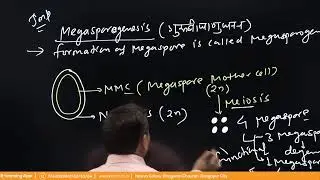Sexual reproduction of flowering plants | Lecture -06 Class - NEET TARGET English