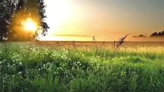 Просто песня. Возрождайся, Россия