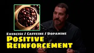 Exercise, Caffeine, Dopamine & Positive Reinforcement | Andrew Huberman