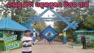 ଆସନ୍ତୁ ଯିବା ସମ୍ବଲପୁରର 🦌 ଡିଅର ପାର୍କ // ଡିଅର ପାର୍କ 🦁 / Deer park sambalpur // small zoo in sambalpur /